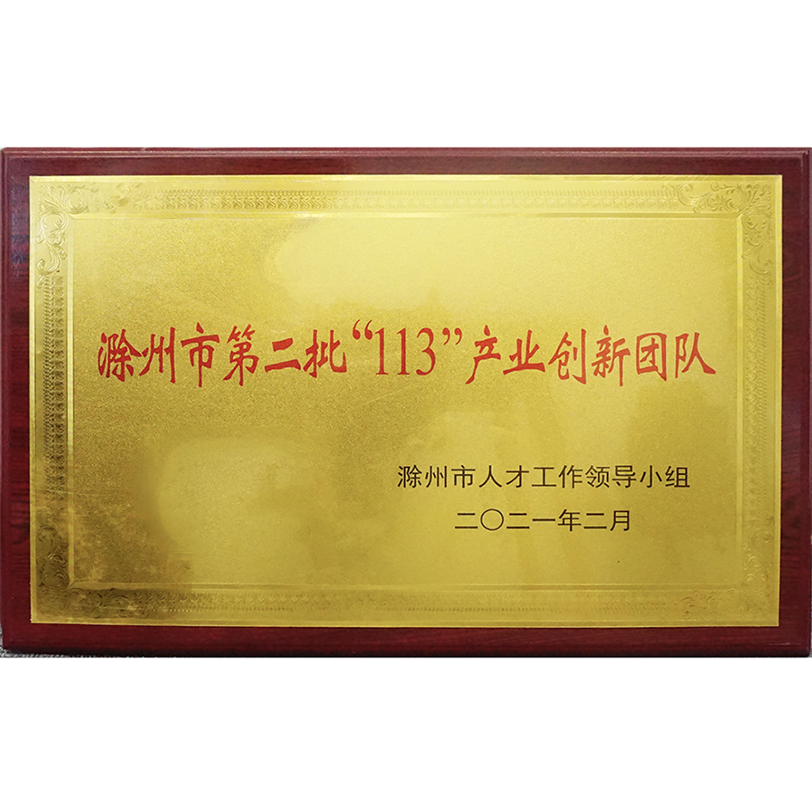 滁州市第二批113產業(yè)創(chuàng)新團隊